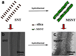 Graphical abstract: Metal silicate nanotubes with nanostructured walls as superb adsorbents for uranyl ions and lead ions in water