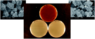 Graphical abstract: Micron- and nanosized FAU-type zeolites from fly ash for antibacterial applications