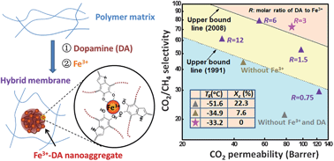 Graphical abstract: Bioadhesion-inspired polymer–inorganic nanohybrid membranes with enhanced CO2 capture properties