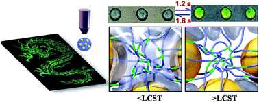 Graphical abstract: Inkjet printed colloidal photonic crystal microdot with fast response induced by hydrophobic transition of poly(N-isopropyl acrylamide)