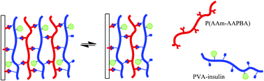 Graphical abstract: Dynamically bonded layer-by-layer films for self-regulated insulin release