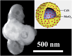 Graphical abstract: Sonochemistry synthesis of nanocrystals embedded in a MoO3–CdS core–shell photocatalyst with enhanced hydrogen production and photodegradation