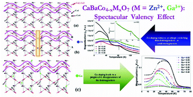 Graphical abstract: Magnetism of the “114” orthorhombic charge ordered CaBaCo4O7 doped with Zn or Ga: a spectacular valency effect