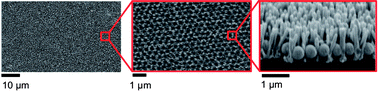 Graphical abstract: Nanosphere lithography and hydrothermal growth: how to increase the surface area and control reversible wetting properties of ZnO nanowire arrays?