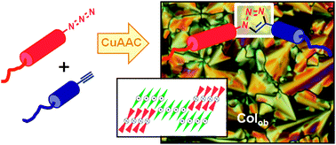 Graphical abstract: “Click chemistry” as a versatile route to synthesize and modulate bent-core liquid crystalline materials