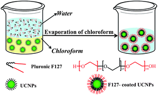 Graphical abstract: A pluronic F127 coating strategy to produce stable up-conversion NaYF4:Yb,Er(Tm) nanoparticles in culture media for bioimaging