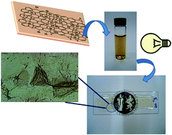 Graphical abstract: Emerging methods for producing graphene oxide composites in coatings with multifunctional properties