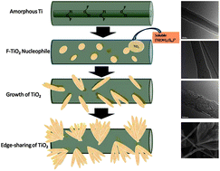 Graphical abstract: Growth of crystallized titania from the cores of amorphous tetrabutyl titanate@PVDF nanowires