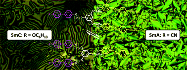 Graphical abstract: Heterolithic azobenzene-containing supermolecular tripedal liquid crystals self-organizing into highly segregated bilayered smectic phases