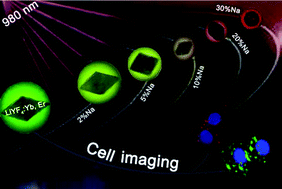 Graphical abstract: Synthesis of Li1−xNaxYF4:Yb3+/Ln3+ (0 ≤ x ≤ 0.3, Ln = Er, Tm, Ho) nanocrystals with multicolor up-conversion luminescence properties for in vitro cell imaging