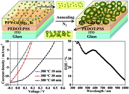 Graphical abstract: Aqueous-solution-processed PPV–CdxHg1−xTe hybrid solar cells with a significant near-infrared contribution