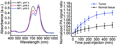 Graphical abstract: Dextran based pH-sensitive near-infrared nanoprobe for in vivo differential-absorption dual-wavelength photoacoustic imaging of tumors