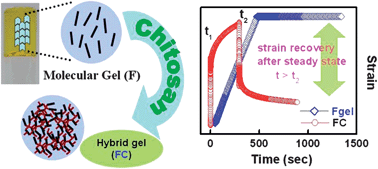 Graphical abstract: Improved mechanical and photophysical properties of chitosan incorporated folic acid gel possessing the characteristics of dye and metal ion absorption