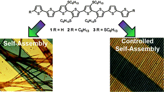 Graphical abstract: Targeting ordered oligothiophene fibers with enhanced functional properties by interplay of self-assembly and wet lithography