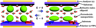 Graphical abstract: Low voltage and hysteresis-free blue phase liquid crystal dispersed by ferroelectric nanoparticles