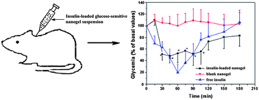 Graphical abstract: An injectable and glucose-sensitive nanogel for controlled insulin release