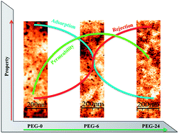 Graphical abstract: Antifouling and tunable amino functionalized porous membranes for filtration applications