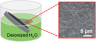 Graphical abstract: Reproducible layer-by-layer exfoliation for free-standing ultrathin films of single-walled carbon nanotubes