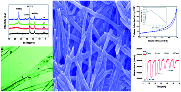 Graphical abstract: Highly dispersed Ni-decorated porous hollow carbon nanofibers: fabrication, characterization, and NOx gas sensors at room temperature