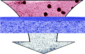 Graphical abstract: Swelling-induced mesoporous block copolymer membranes with intrinsically active surfaces for size-selective separation