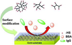 Graphical abstract: Protein resistant properties of polymers with different branched architecture on a gold surface