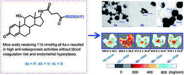 Graphical abstract: Development of three-component conjugates: to get nano-globes with porous surfaces, high in vivo anti-osteoporosis activity and minimal side effects