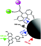 Graphical abstract: Multifunctional up-converting nanocomposites with multimodal imaging and photosensitization at near-infrared excitation