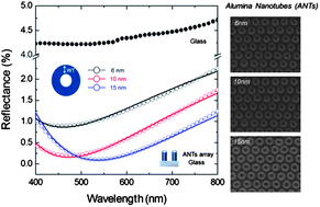 Graphical abstract: A high density array of free standing alumina nanotubes aligned vertically on solid substrates in a large area