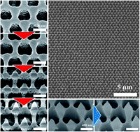 Graphical abstract: Dual length-scale nanotip arrays with controllable morphological features for highly sensitive SERS applications