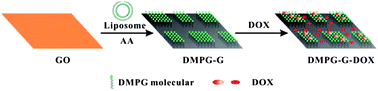 Graphical abstract: Synthesis of phospholipid monolayer membrane functionalized graphene for drug delivery