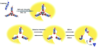 Graphical abstract: Photo-responsive molecularly imprinted hydrogels for the detection of melamine in aqueous media