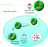 Graphical abstract: Bioreducible polymersomes for intracellular dual-drug delivery