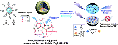 Graphical abstract: Magnetic CMP microspheres: multifunctional poly(phenylene ethynylene) frameworks with covalently built-in Fe3O4 nanocrystals exhibiting pronounced sensitivity for acetaminophen microdetection