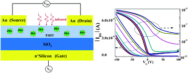 Graphical abstract: Highly sensitive organic near-infrared phototransistors based on poly(3-hexylthiophene) and PbS quantum dots