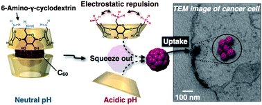 Graphical abstract: pH responsive smart carrier of [60] fullerene with 6-amino-cyclodextrin inclusion complex for photodynamic therapy