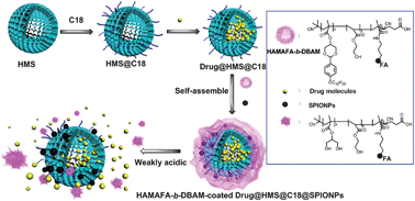 Graphical abstract: A facile preparation of targetable pH-sensitive polymeric nanocarriers with encapsulated magnetic nanoparticles for controlled drug release