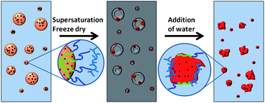 Graphical abstract: Facile synthesis of complex multi-component organic and organic–magnetic inorganic nanocomposite particles