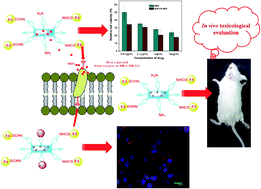 Graphical abstract: Porous ZnO nanorod for targeted delivery of doxorubicin: in vitro and in vivo response for therapeutic applications