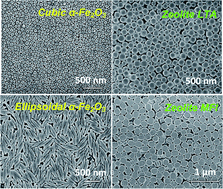 Graphical abstract: Assembly of oriented iron oxide and zeolite crystals via biopolymer films