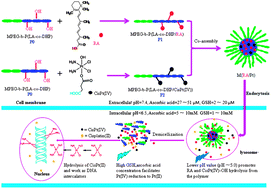 Graphical abstract: Co-delivery of all-trans-retinoic-acid and cisplatin(iv) prodrug based on polymer–drug conjugates for enhanced efficacy and safety