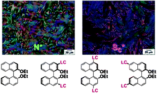 Graphical abstract: Chirality transfer from atropisomeric chiral inducers to nematic and smectic liquid crystals – synthesis and characterization of di- and tetra-substituted axially chiral binaphthyl derivatives