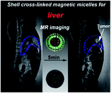 Graphical abstract: Controlled synthesis of shell cross-linked magnetic micelles for efficient liver MR imaging