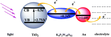 Graphical abstract: Synergistic enhancement of photovoltaic performance of TiO2 photoanodes by incorporation of Dawson-type polyoxometalate and gold nanoparticles