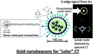 Graphical abstract: Second generation gold nanobeacons for robust K-edge imaging with multi-energy CT