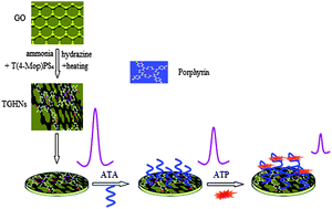 Graphical abstract: Porphyrin functionalized graphene nanosheets-based electrochemical aptasensor for label-free ATP detection