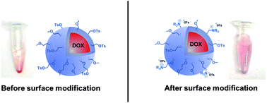 Graphical abstract: Improved anti-proliferative effect of doxorubicin-containing polymer nanoparticles upon surface modification with cationic groups