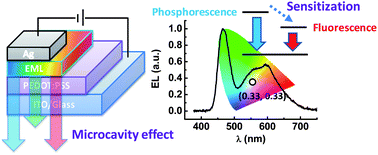 Graphical abstract: Efficient solid-state white light-emitting electrochemical cells based on phosphorescent sensitization