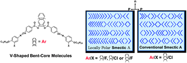 Graphical abstract: The locally polar smectic A phase in V-shaped molecules