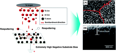 Graphical abstract: Creation of nanoporous tantalum (Ta)-incorporated titanium (Ti) surface onto Ti implants by sputtering of Ta in Ar under extremely high negative substrate biases