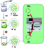 Graphical abstract: Environmentally friendly light-driven synthesis of Ag nanoparticles in situ grown on magnetically separable biohydrogels as highly active and recyclable catalysts for 4-nitrophenol reduction